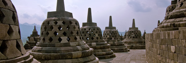 BISALFATRAVEL.COM
